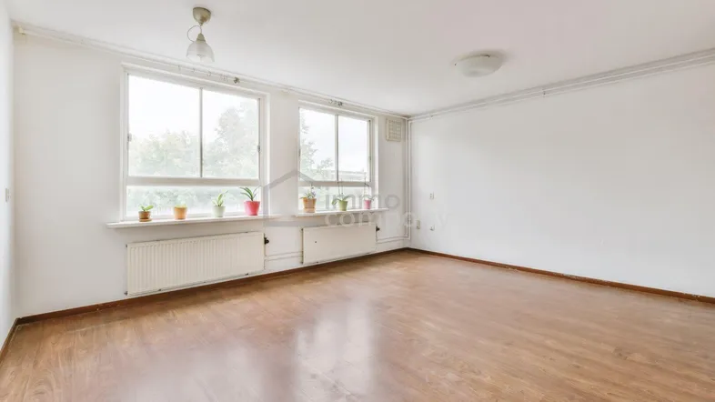 Heller, leerer Raum mit Laminatboden, großen Fenstern und Blick ins Grüne.