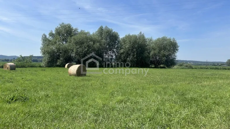 Weite grüne Wiesenlandschaft mit Heuballen unter blauem Himmel und Bäumen im Hintergrund.