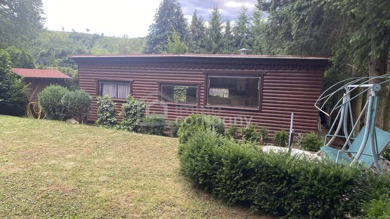 Ansicht der Holzblockhütte mit Rasenfläche und umgebenden Bäumen, inklusive Schaukel im Garten.
