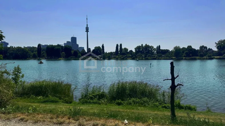 Seeufer mit Blick auf die Stadt und den Donauturm im Hintergrund an einem sonnigen Tag.