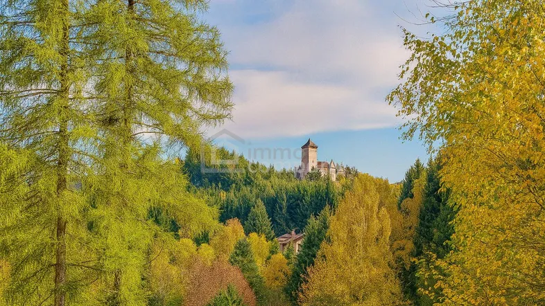 Burgblick