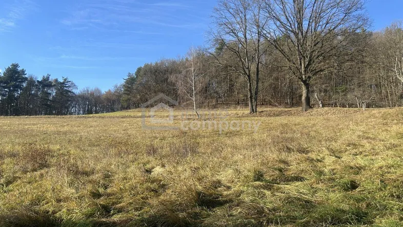Weite Wiesenlandschaft mit Bäumen und blauem Himmel, ideal für Naturliebhaber und Ruhe suchende.