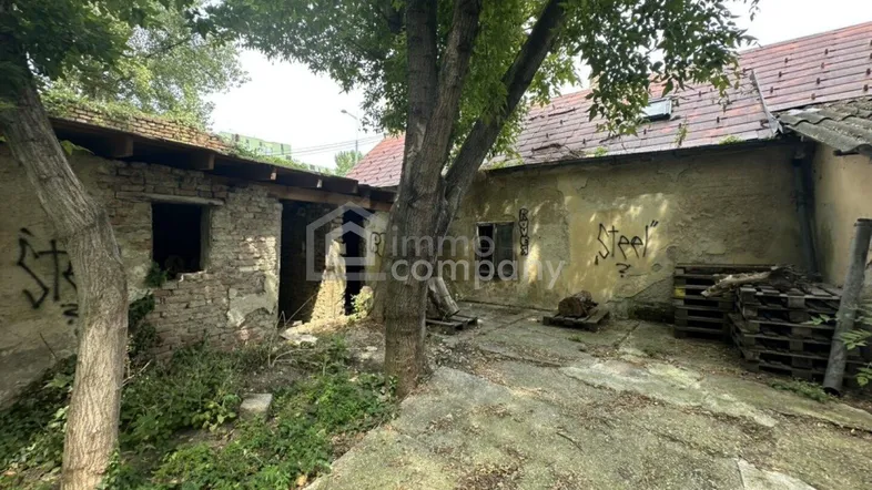 Verwilderter Hinterhof mit alten Gebäuden, Bäumen und Betonflächen, die auf Sanierung warten.