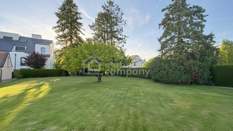 Großer, gepflegter Garten mit Rasenfläche und Bäumen, umgeben von einer Hecke und angrenzenden Häusern.
