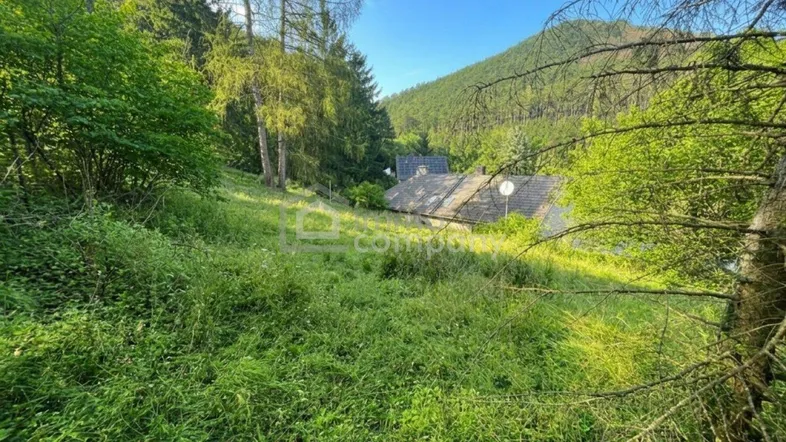 Grüne Hügellandschaft mit Bäumen und Häusern im Tal, umgeben von Natur.