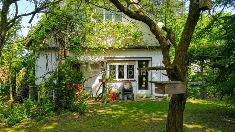 Rückansicht des Hauses mit einem weitläufigen, grünen Garten und altem Baumbestand.