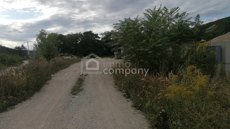 Ein unbefestigter Feldweg führt durch eine bewachsene Landschaft mit Bäumen unter einem bewölkten Himmel.