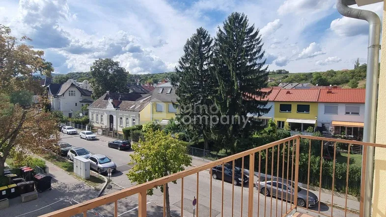 Blick vom Balkon auf die ruhige Wohnstraße mit umliegenden Häusern und viel Grün.