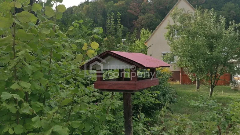 Gartenbereich mit Vogelhäuschen und üppiger Vegetation vor einem Wohnhaus.