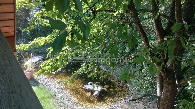 Natürlicher Gartenteich umgeben von üppigem Grün und Bäumen, mit einem kleinen Holzbau im Hintergrund.