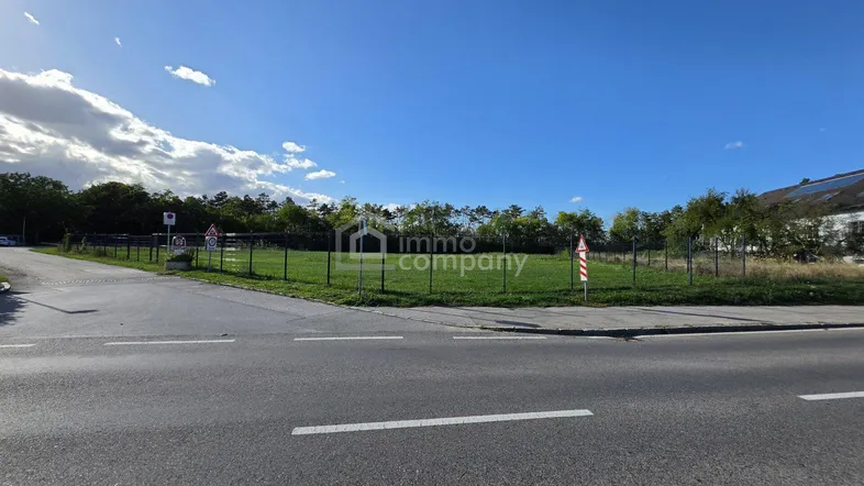 Weitläufiges Grundstück an einer Straße gelegen, umzäunt und von Bäumen gesäumt unter blauem Himmel.