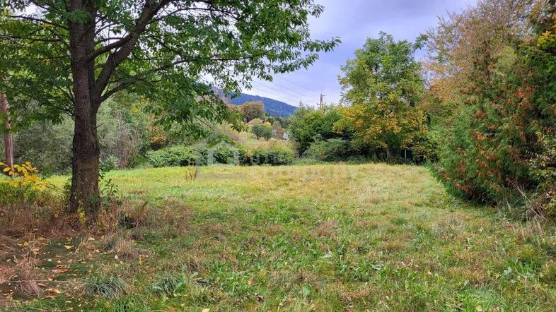 Weitläufige Grünfläche mit altem Baum und Blick auf bewaldete Hügel und Berge.