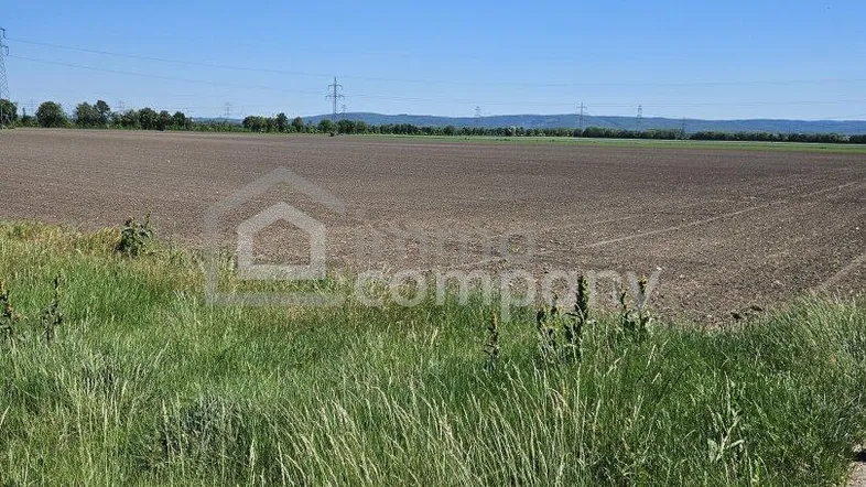 Weitläufiges Feld mit grüner Wiese im Vordergrund unter einem klaren blauen Himmel.