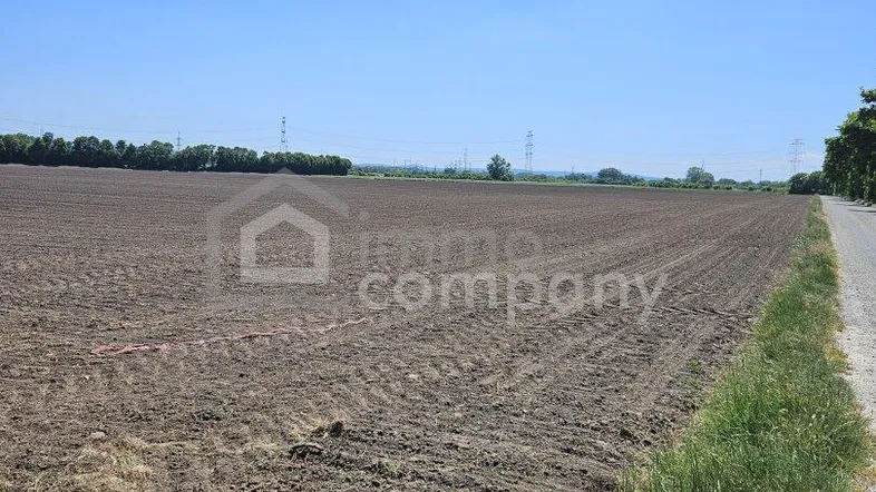 Weites, frisch gepflügtes Feld unter blauem Himmel mit einem Feldweg am Rand.