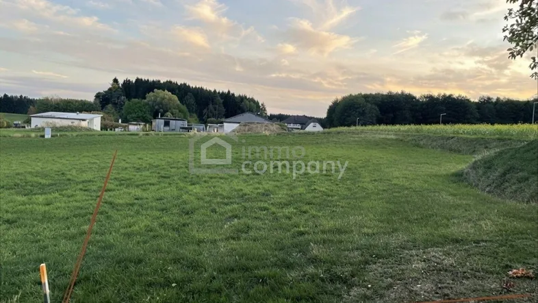 Weitläufiges grünes Grundstück mit Blick auf die umliegende Landschaft und den Abendhimmel.