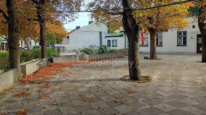 Gepflasterter Außenbereich mit Bäumen und herbstlichem Laub, umgeben von Gebäuden.