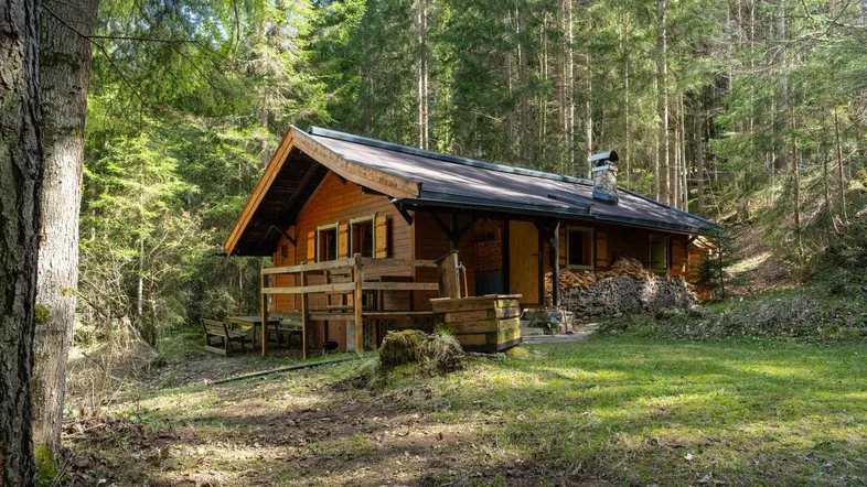 Rustikale Blockhütte aus Holz, eingebettet in einen sonnigen Wald mit üppiger Vegetation.
