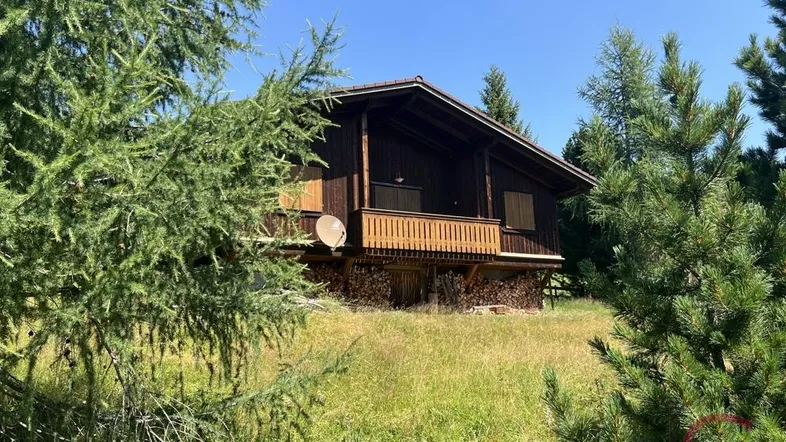 Rustikales Holzchalet in alpiner Umgebung, umgeben von Bäumen und einer grünen Wiese.