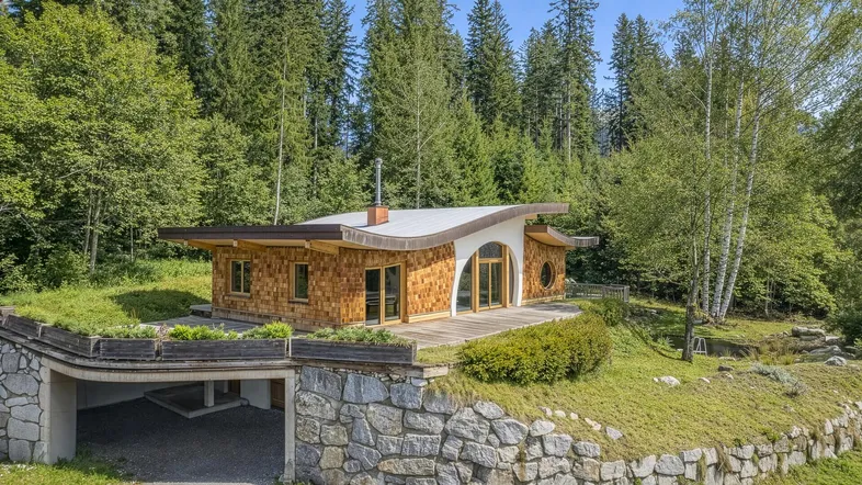 Modernes Haus mit geschwungenem Dach, Holzfassade und integrierter Garage am Waldrand.