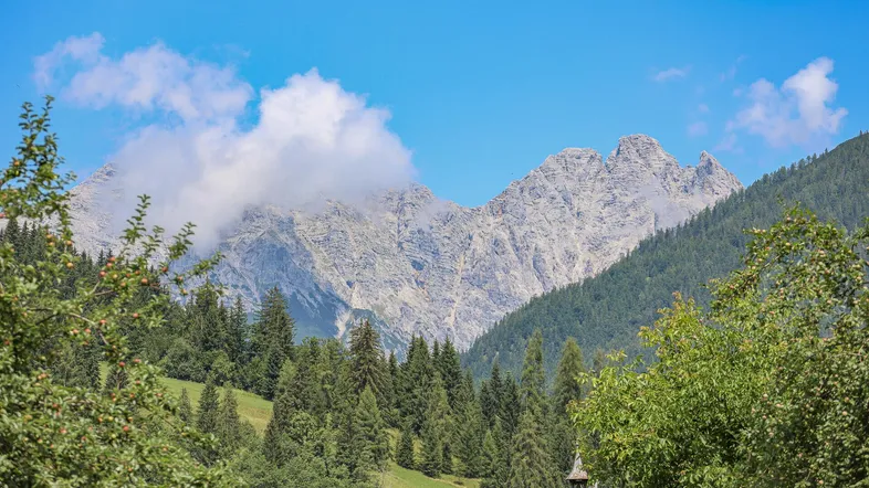 Majestätische Berglandschaft mit bewaldeten Hängen und felsigen Gipfeln unter blauem Himmel.