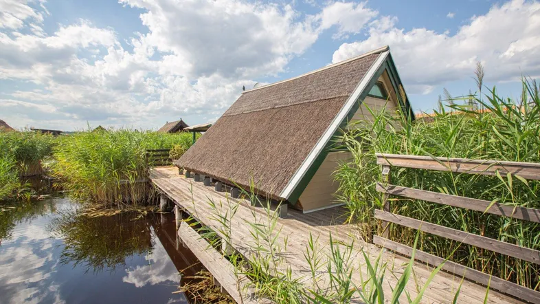 Kleines Haus mit Reetdach und Holzsteg, umgeben von Schilf und Wasser unter blauem Himmel.