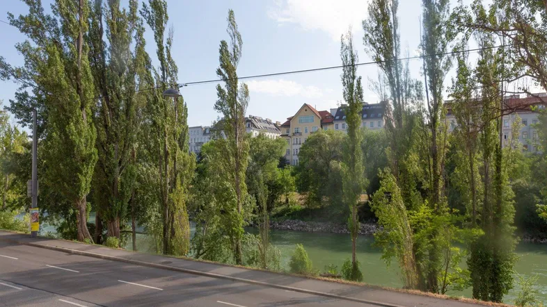 Blick auf die Straße, den Fluss und die gegenüberliegende Bebauung mit hohen Bäumen.