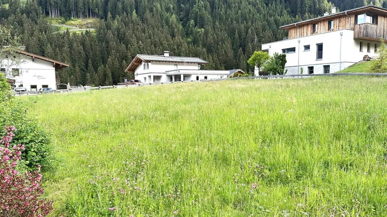 Grüne Wiese mit Wohnhäusern und bewaldeten Bergen im Hintergrund.