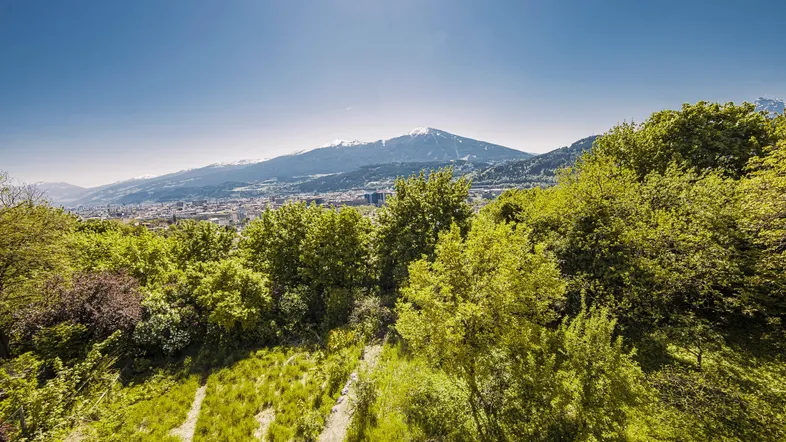 Panoramablick auf die Stadt im Tal, umgeben von grünen Hügeln und schneebedeckten Bergen.