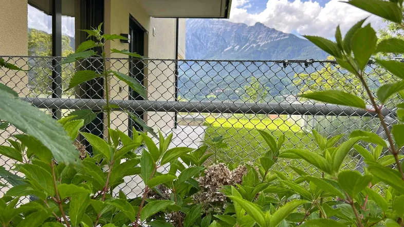 Nahaufnahme von Pflanzen mit einem weiten Blick auf die umliegende Landschaft und Berge.