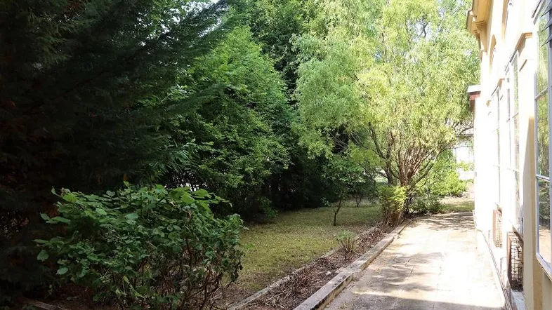 Garten1