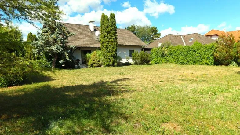 Großzügiger Gartenbereich mit Rasenfläche und altem Baumbestand vor einem Einfamilienhaus.
