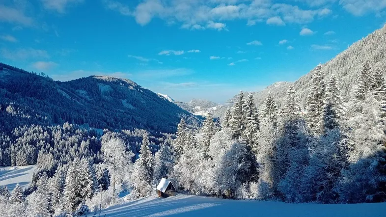 Winterlandschaft mit schneebedeckten Bäumen und Bergen unter strahlend blauem Himmel.