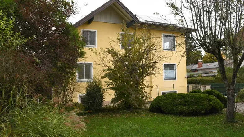 Gartenbereich hinter dem gelben Wohnhaus mit Rasenfläche und verschiedenen Sträuchern und Bäumen.