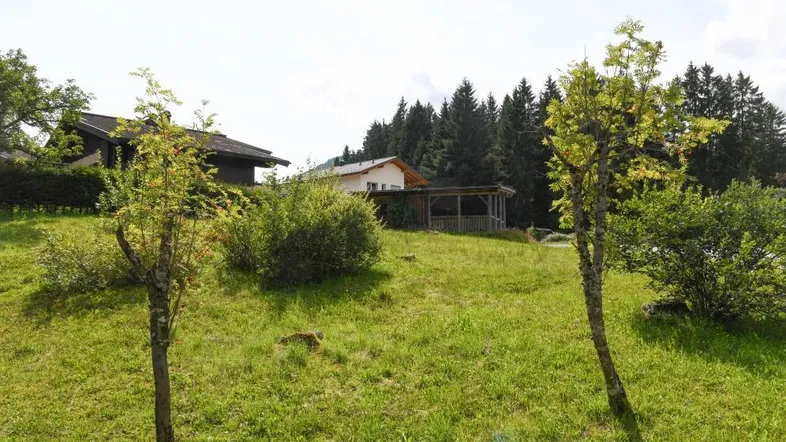 Grüne Hanglage mit jungen Bäumen und Blick auf die umliegende Waldlandschaft.