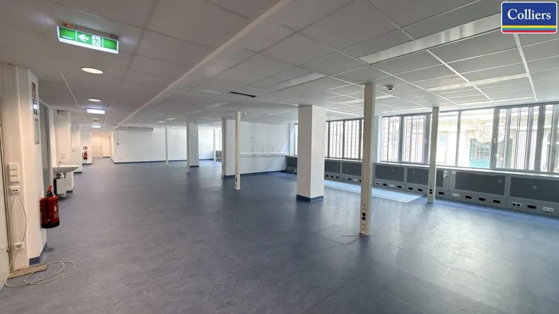 Großer, offener Büroraum mit blauen Vinylböden, vielen Fenstern und abgehängter Decke.