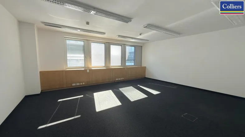 Geräumiges Büro mit Teppichboden, großen Fenstern und viel Tageslicht, ideal für produktives Arbeiten.