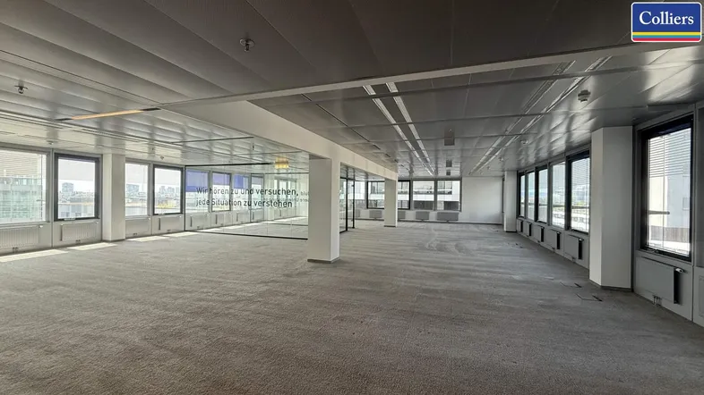 Geräumiges, leeres Büro mit Teppichboden, großen Fenstern und viel Tageslicht.