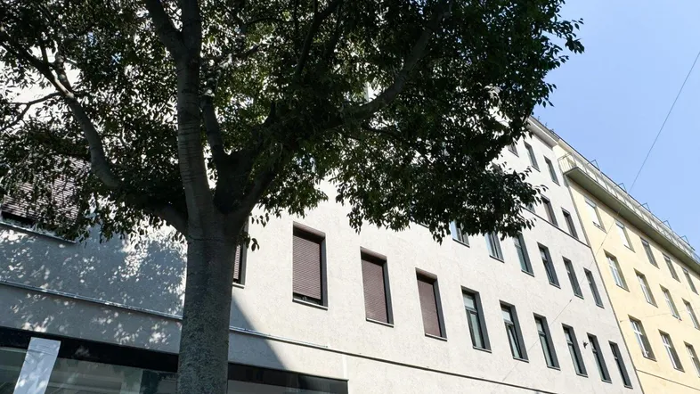 Fassade eines modernen Gebäudes mit großen Fenstern im Erdgeschoss und einem Baum davor.