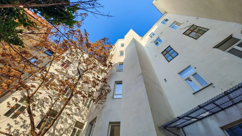 Blick nach oben in einen Innenhof mit hohen Gebäudefassaden, vielen Fenstern und Bäumen unter blauem Himmel.