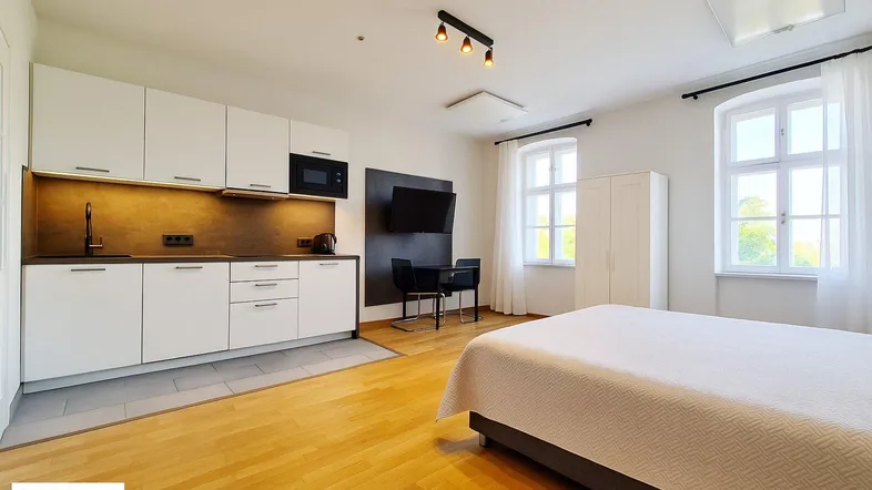 Helles Studio-Apartment mit integrierter Küchenzeile, Schlafbereich und Blick ins Grüne.