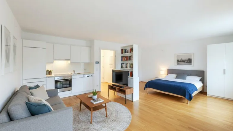 Helles Studio-Apartment mit integrierter Küche, Wohnbereich und Schlafgelegenheit auf Parkettboden.