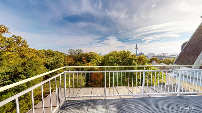 Geräumige Dachterrasse mit Metallgeländer und weitem Blick über grüne Baumwipfel und die Stadt.