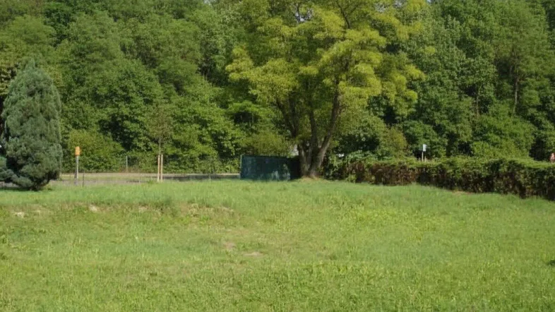 Grüne Wiese mit Bäumen im Hintergrund und viel natürlichem Licht, ideal für ein Eigenheim.