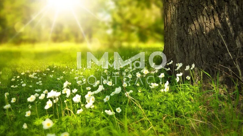 Bild.