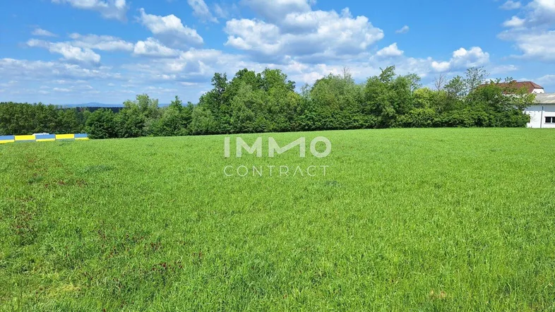Weitläufiges grünes Feld unter blauem Himmel mit vereinzelten Bäumen im Hintergrund und einem Gebäude am Horizont.