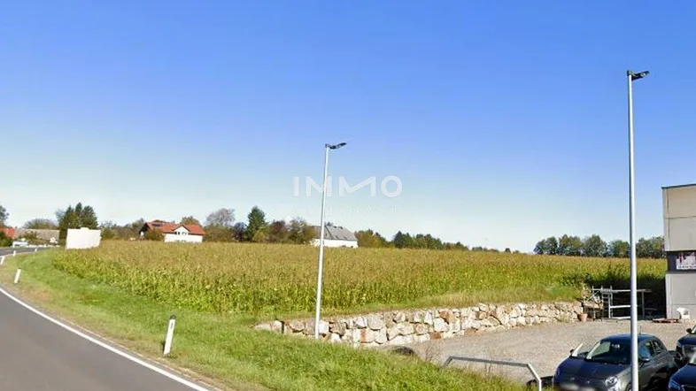 Feld mit hohen Pflanzen neben einer Straße, mit Laternen, einer Steinmauer und geparkten Autos im Vordergrund, Häuser in der Ferne.