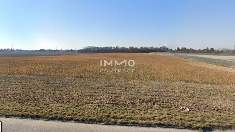 Weites Feld unter blauem Himmel mit Blick auf die ländliche Umgebung und entfernte Bäume.