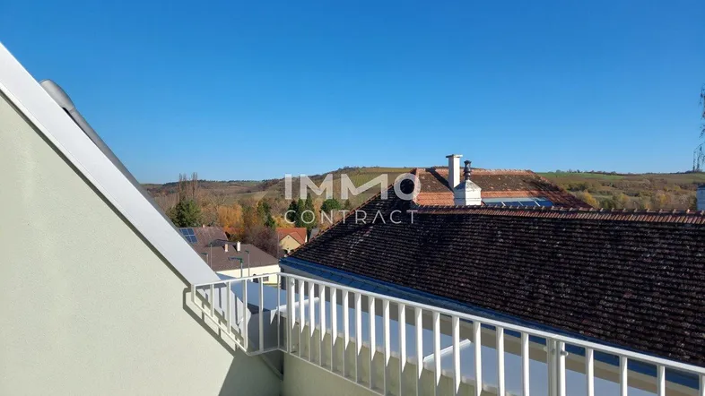 Geräumige Dachterrasse mit weißem Geländer und weitem Blick über die Landschaft und Dächer.