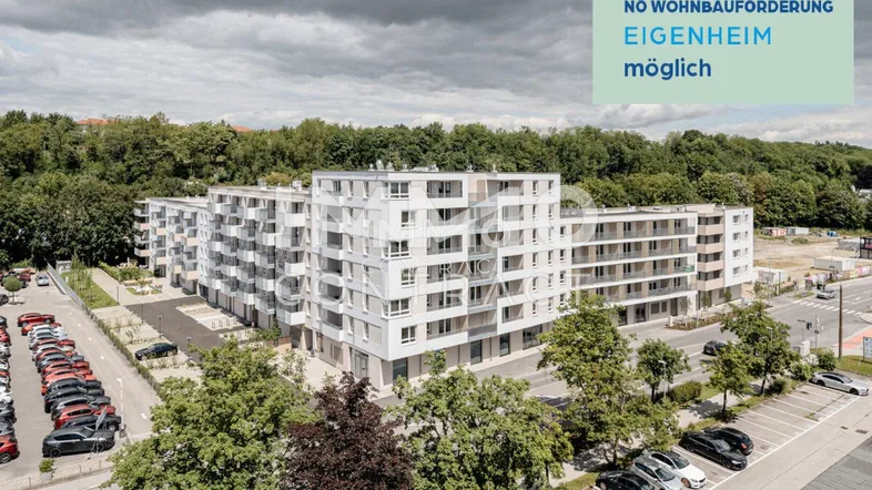 Perfekt für Jungfamilien!