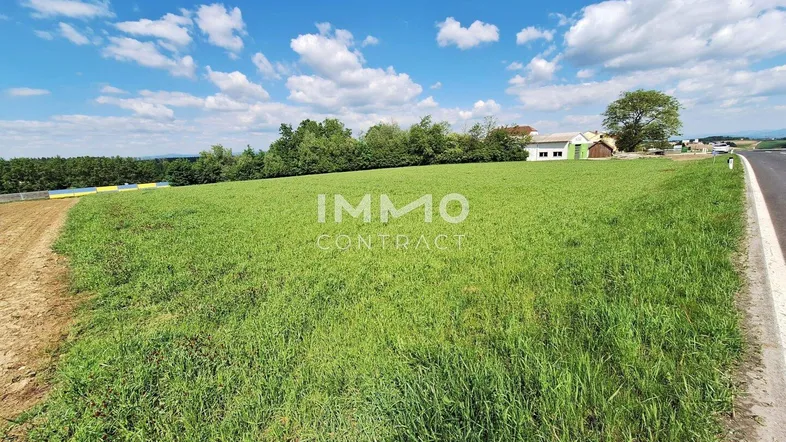 Weitläufiges grünes Feld unter blauem Himmel mit Wolken, ideal für ein Bauvorhaben in ländlicher Umgebung.